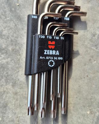 serie chiavi Torx
