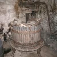 TORCHIO PER UVA