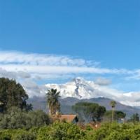 Terreno agricolo di metri 5190