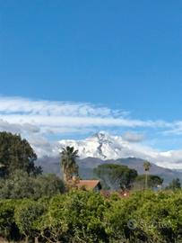 Terreno agricolo di metri 5190