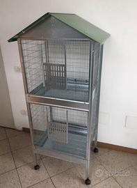 Voliera canarino