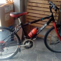 Bicicletta mountain bike mtb ragazz* bambin*