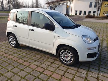 Fiat Panda Easy 1.2