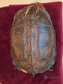 carapace, Africa 1930/50