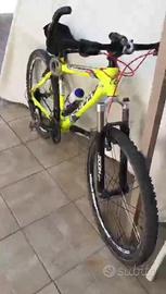 Bicicletta adulti