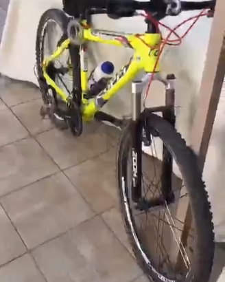Bicicletta adulti