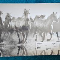 Quadro stampa cavalli bianco e nero