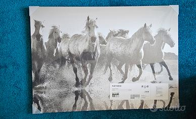 Quadro stampa cavalli bianco e nero