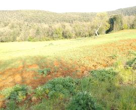 041a terreno agricolo, campo, coltivazioni 50000mq