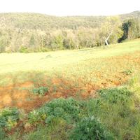 041a terreno agricolo, campo, coltivazioni 50000mq