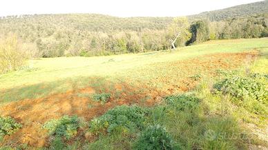 041a terreno agricolo, campo, coltivazioni 50000mq