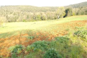 041a terreno agricolo, campo, coltivazioni 50000mq