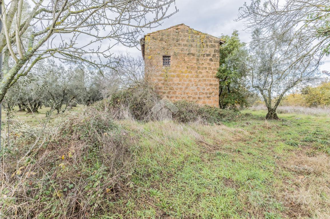 RUSTICO A VETRALLA - Vista 5