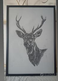 carboncino quadri animali 