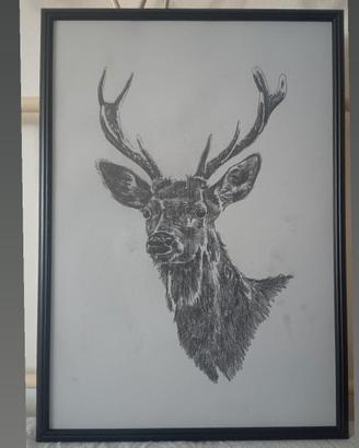 carboncino quadri animali 