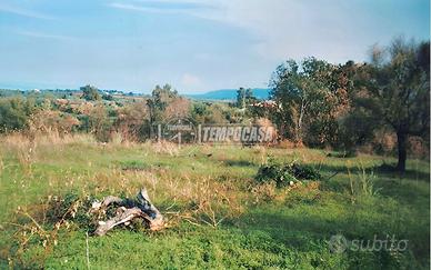 Terreno agricolo a Rometta