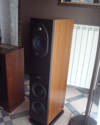 Diffusori Polk Audio RTi2000