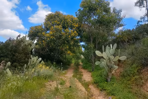 Terreno Super panoramico