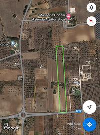 Terreno agricolo 11.326 mq con fabbricato