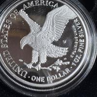 moneta argento American eagle da collezione