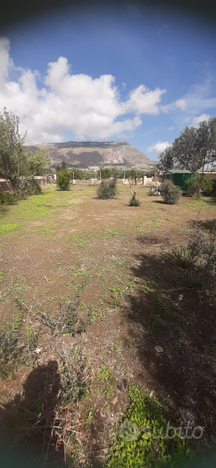 Agricolo Trapani