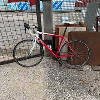Bici da corsa