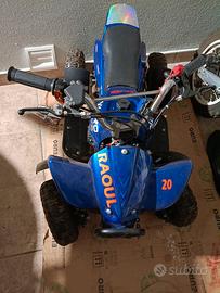 quad a benzina 