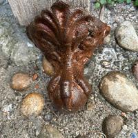 antica vasca da bagno