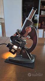Microscopio Vintage Euromex LK  - Funzionanre