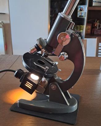 Microscopio Vintage Euromex LK  - Funzionanre