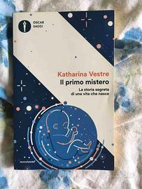il primo mistero
