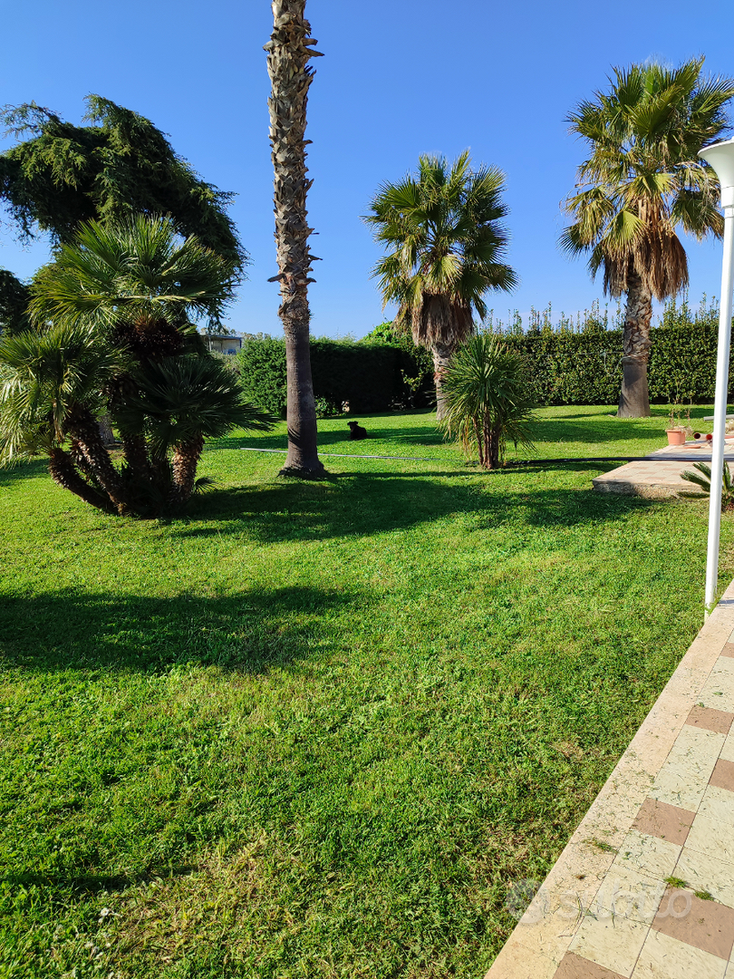 House in Termoli, Campobasso - Vista 2