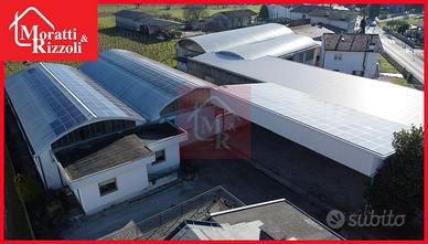 CAPANNONE con CASA a Corno di Rosazzo