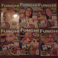 Andar per Funghi