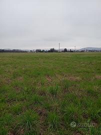 San giovanni al nat.-terreno 1000 mq