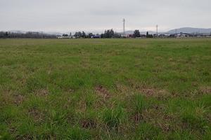 San giovanni al nat.-terreno 1000 mq