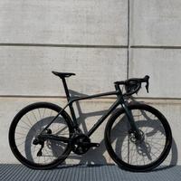 Giant TCR Tg.M