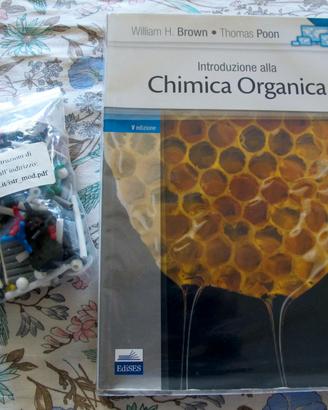 Chimica organica con modellino molecolare