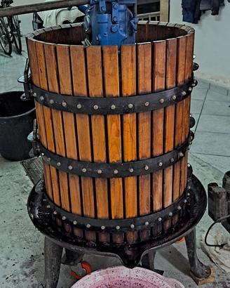 Torchio idraulico più Carola più 2  tini  grandi 