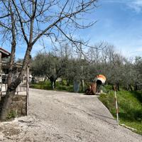 Terreno local pisoniano con pozzo e cisterna