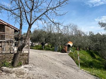 Terreno local pisoniano con pozzo e cisterna
