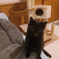Poppi 6 mesi