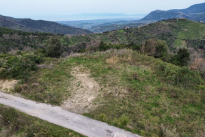 Vendita terreno agricolo con concessione edilizia