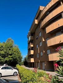 Camere singole per studenti zona Cisanello