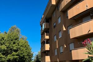 Camere singole per studenti zona Cisanello