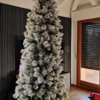 Albero di natale