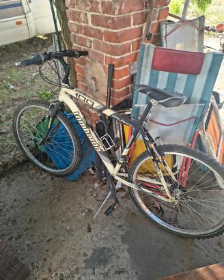 MTB lombardo 