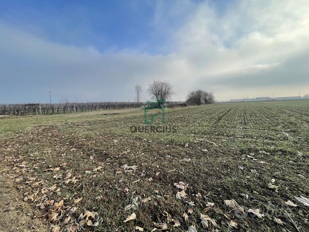 Terreno a Zimella (VR)