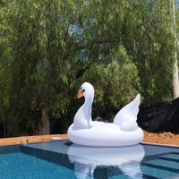 Appartamento in Villa con piscina a 200mt dal mare