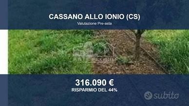 Immobile in asta di 98590 m² a Cassano all'Ionio